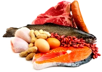 The foods with our new additions!