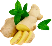 The game with our new additions!